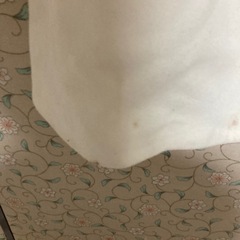 レディースコートの画像