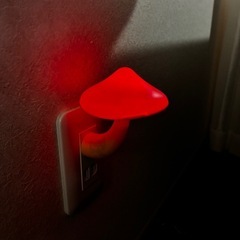 キノコランプの画像