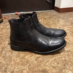 stefanorossi                   
の画像