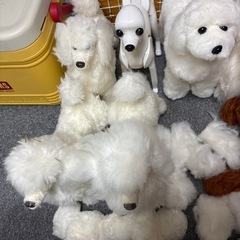 3日まで安くします！トリマー2級教材一式の画像