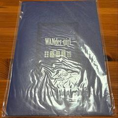 【新品・未開封】WANder girl / RUINON（フカヒレ） C104の画像