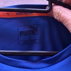 PUMATシャツ140の画像