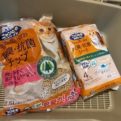 猫トイレの画像