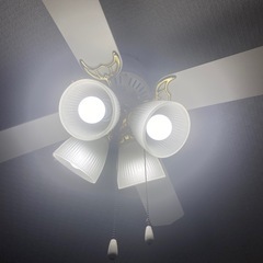 ファン付きシーリングライトの画像