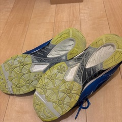 asics ランニングシューズ　25cmの画像