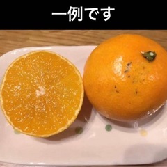 愛果28号 まどんな　愛媛県産　規格外品　5キロ　の画像