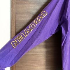 THE NORTH FACE ロンT パープル Lサイズの画像