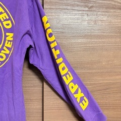 THE NORTH FACE ロンT パープル Lサイズの画像