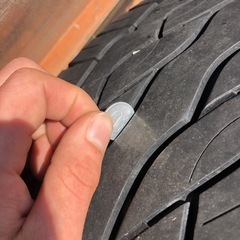 クリムゾン　マーテルギアモンスター22インチ
の画像