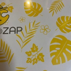 未開封チョコザップスターターセット 2023年夏バージョンの画像