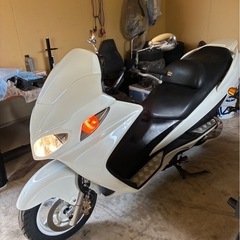 スズキ、スカイウェイブ250の画像