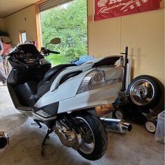 スズキ、スカイウェイブ250の画像