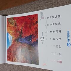 2026 NTT西日本壁掛けカレンダーの画像