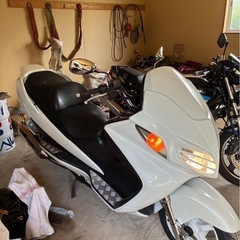 スズキ、スカイウェイブ250の画像