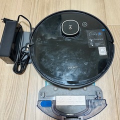 ecovas掃除機の画像