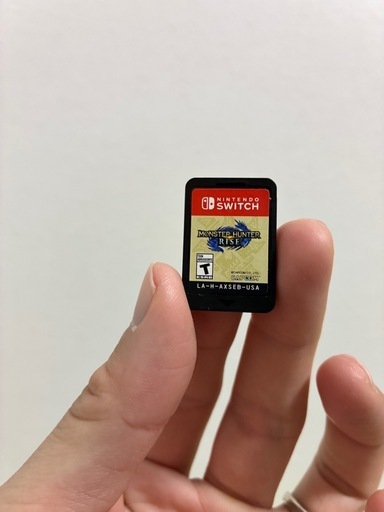 【即引き取り】switch本体とモンハン