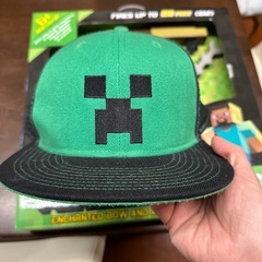 マイクラセットの画像