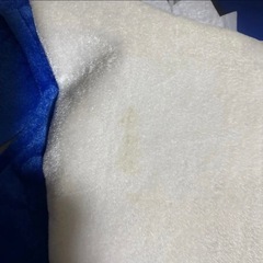 子供用 サメ着ぐるみの画像