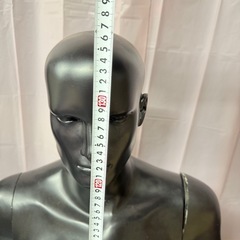 男性半身マネキン 黒の画像