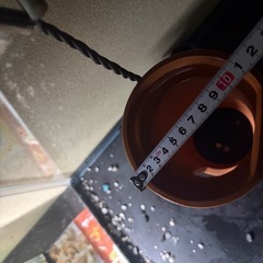 小さな亀の隠れ家土管の画像