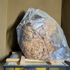 スズメ蜂の巣の置物の画像
