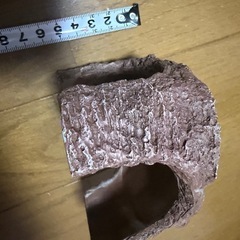 小さな亀の島の画像