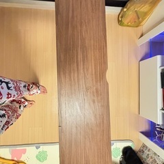 テレビボードの画像