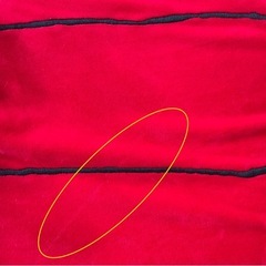 スヌーピーの屋根型ペットハウス　ペットパラダイスにて購入の画像