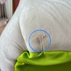 スヌーピーの屋根型ペットハウス　ペットパラダイスにて購入の画像