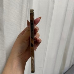 iPhone 12 pro ゴールド 256 GB docomoの画像