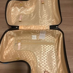 AO WEILA 乗れるキャリーケース
の画像