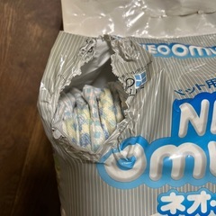 小・中型犬用オムツの画像