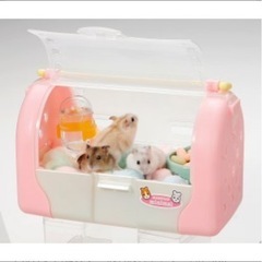 ハム小屋🐹 の画像