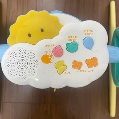 プーメリーの画像