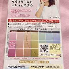 🌸決まりました🌸【断捨離】白髪も染まるカラー剤 CIELOの画像