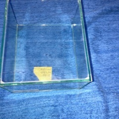 メダカ　　ベタ　飼育水槽
の画像