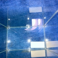 メダカ　　ベタ　飼育水槽
の画像