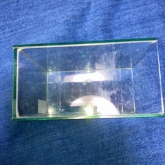 メダカ　　ベタ　飼育水槽
の画像