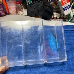 アクリル水槽の画像