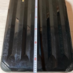 キャリーの画像