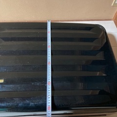 キャリーの画像