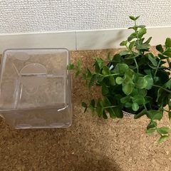 雑貨色々の画像