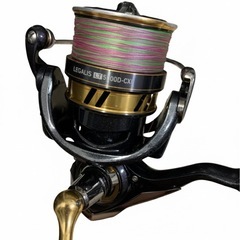  【豪華セット】ライトショアジギング＆ライトゲーム一式（レガリス・フリームス・タモ付）の画像