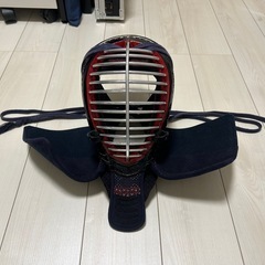 【値下げ交渉可】女性用剣道防具6点セット　中学生・高校生の画像