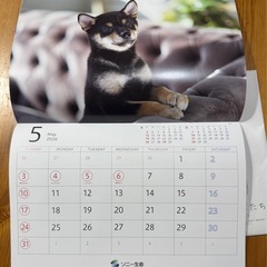 【新品】ソニー生命　2026カレンダーの画像