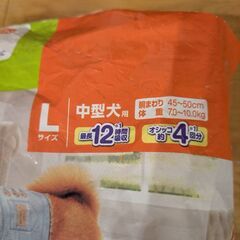 【無料】中型犬用　Lサイズ　マナーウェアの画像