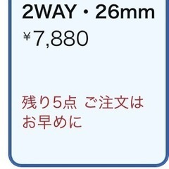 コイズミサロンセンス300の画像