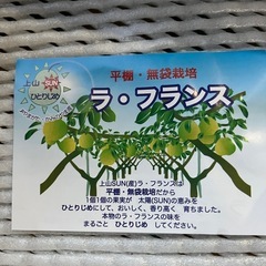 ラ.フランス1箱の画像