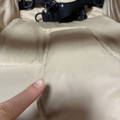 エアバギー　ココダブルの画像