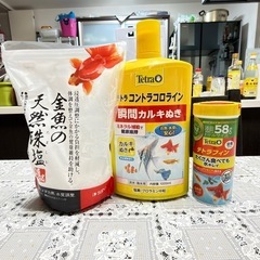 金魚の水槽ただであげます
の画像